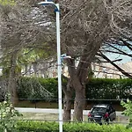 Modern Near The شقة غوليم